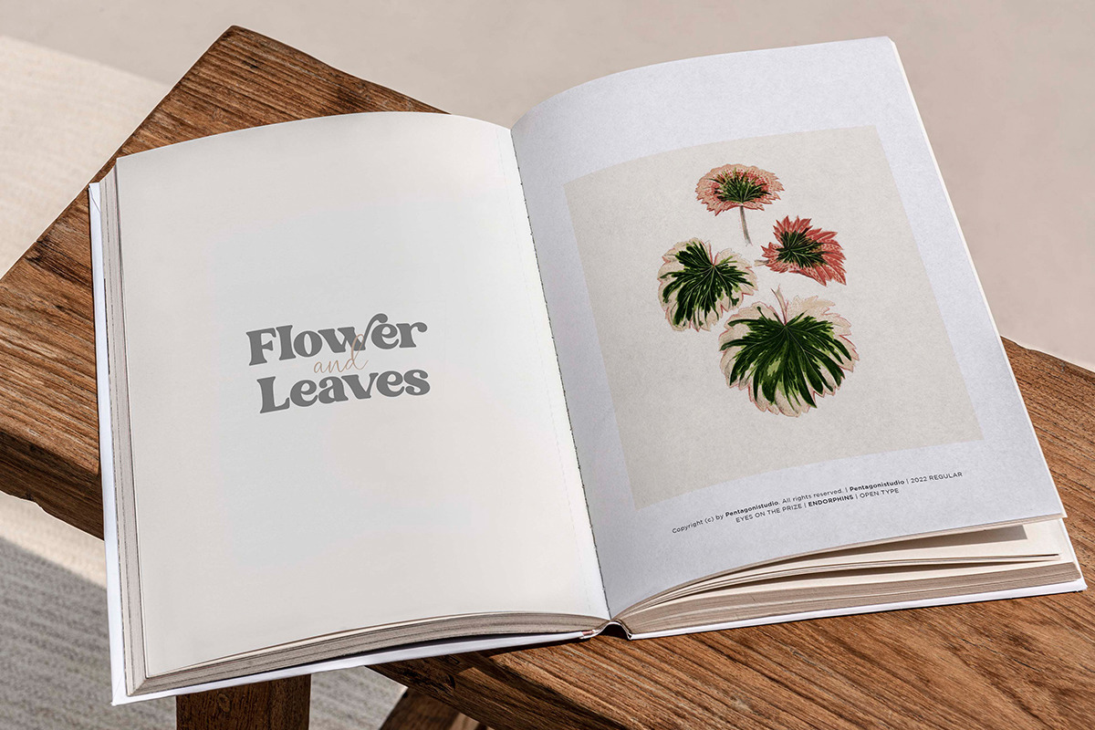 Morphins | Display Serif Morphins | Display Serif