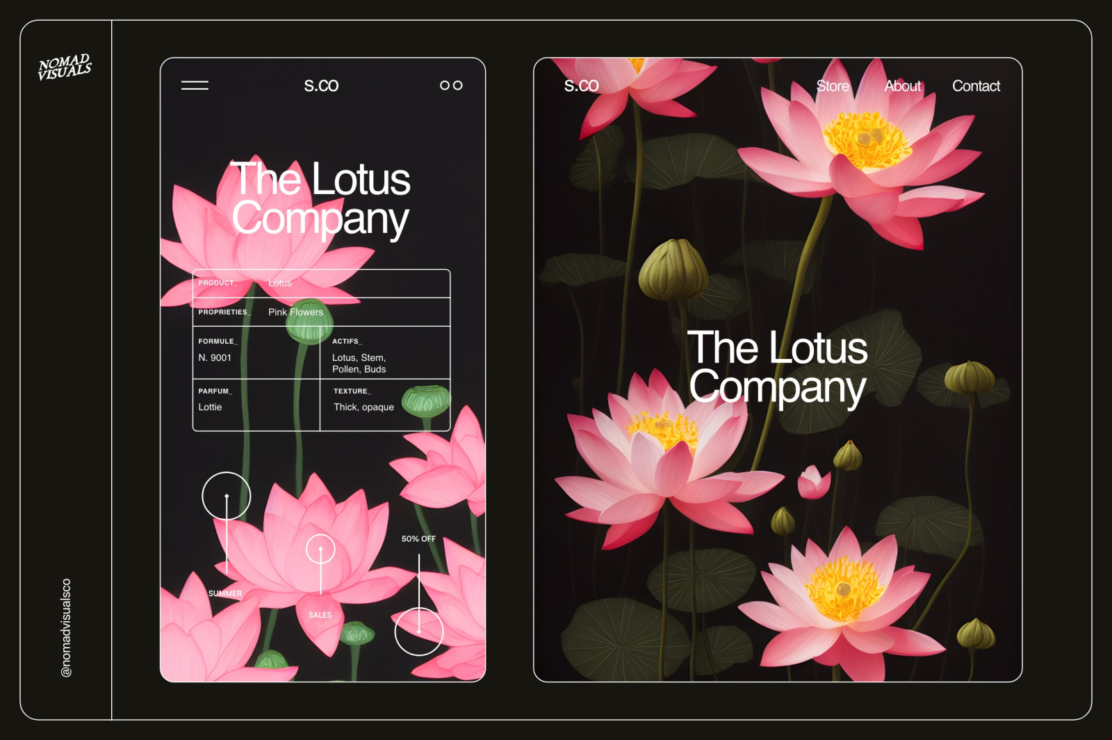 Lotus Flowers Lotus Flowers