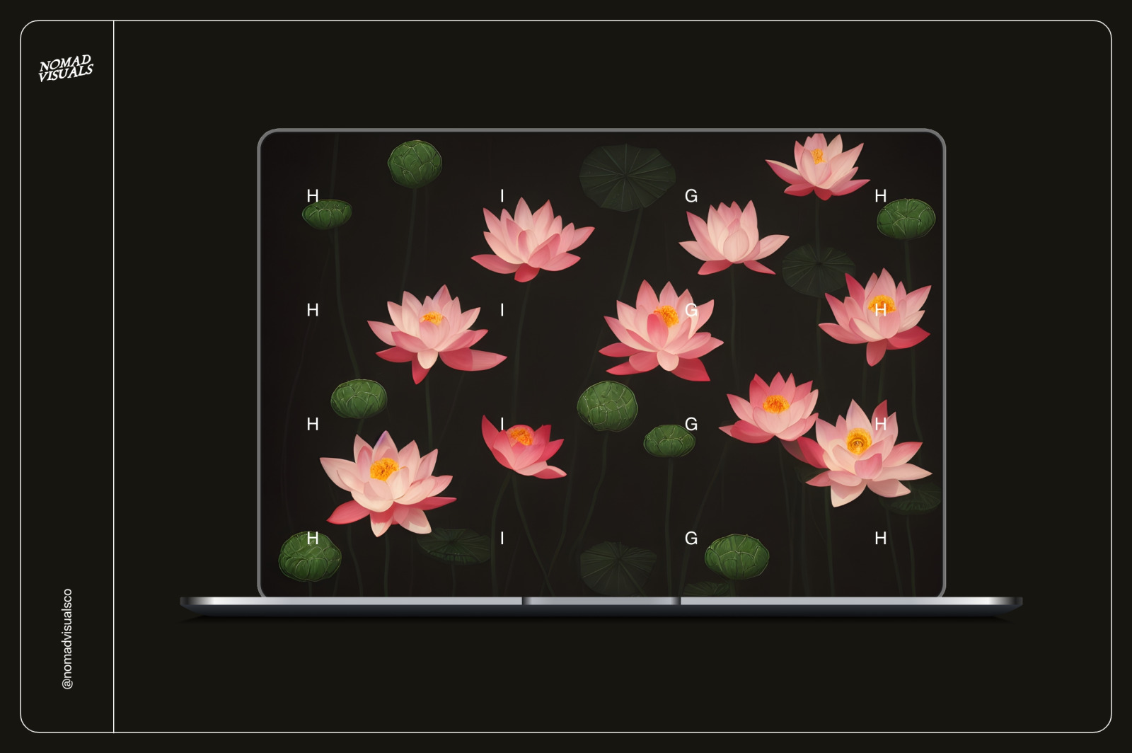 Lotus Flowers Lotus Flowers