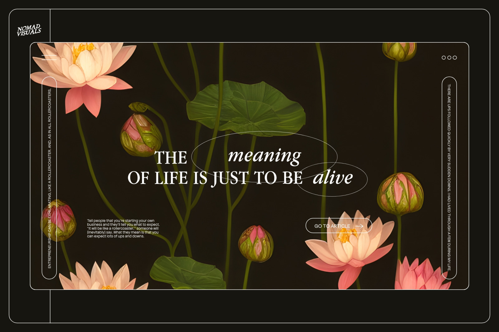 Lotus Flowers Lotus Flowers