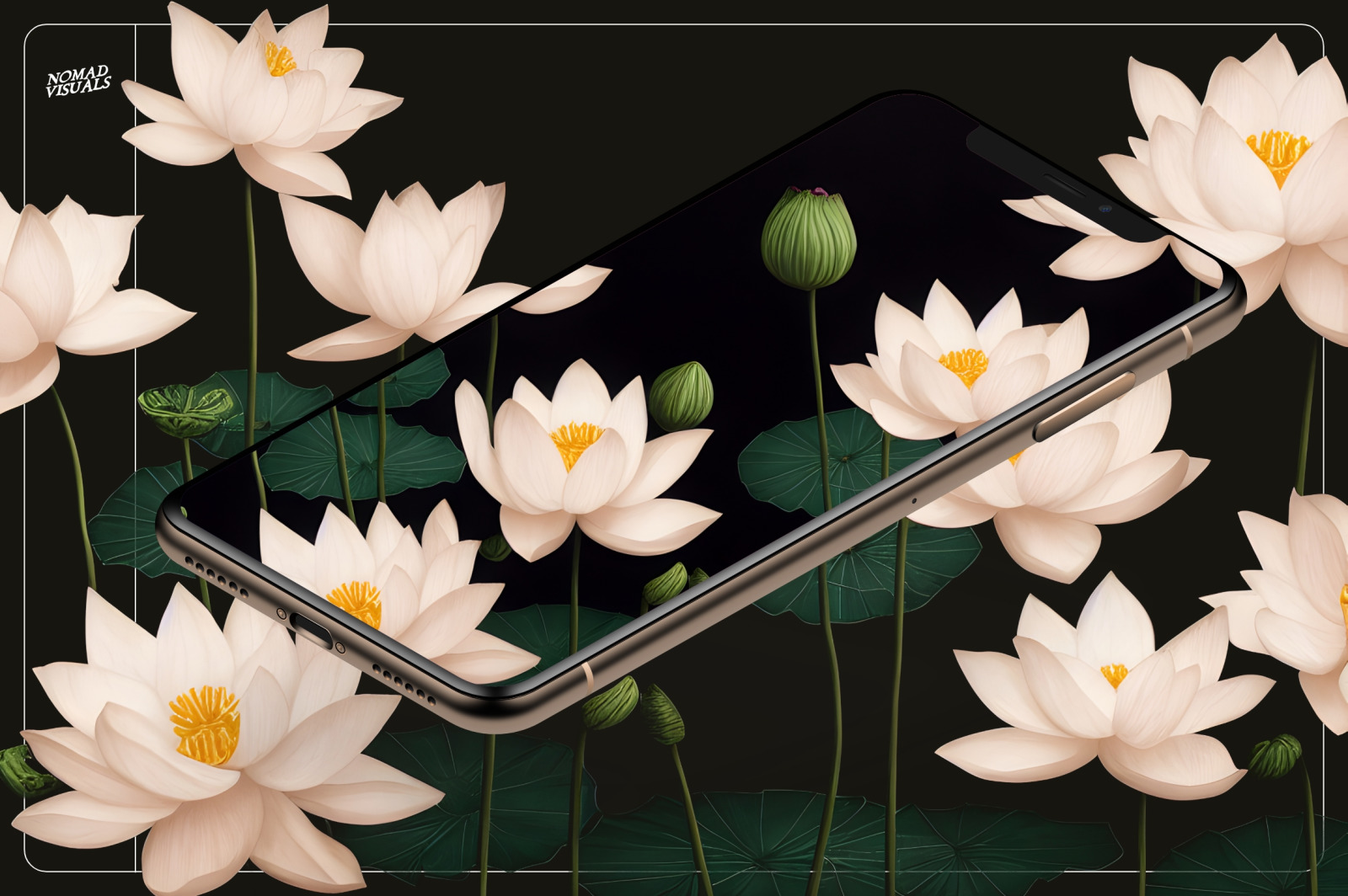 Lotus Flowers Lotus Flowers