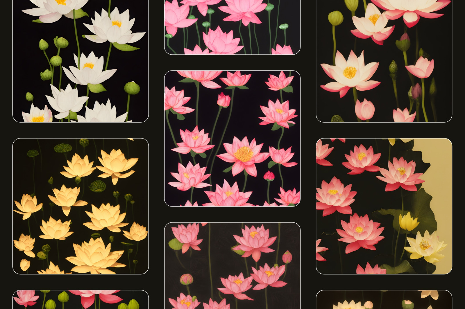 Lotus Flowers Lotus Flowers