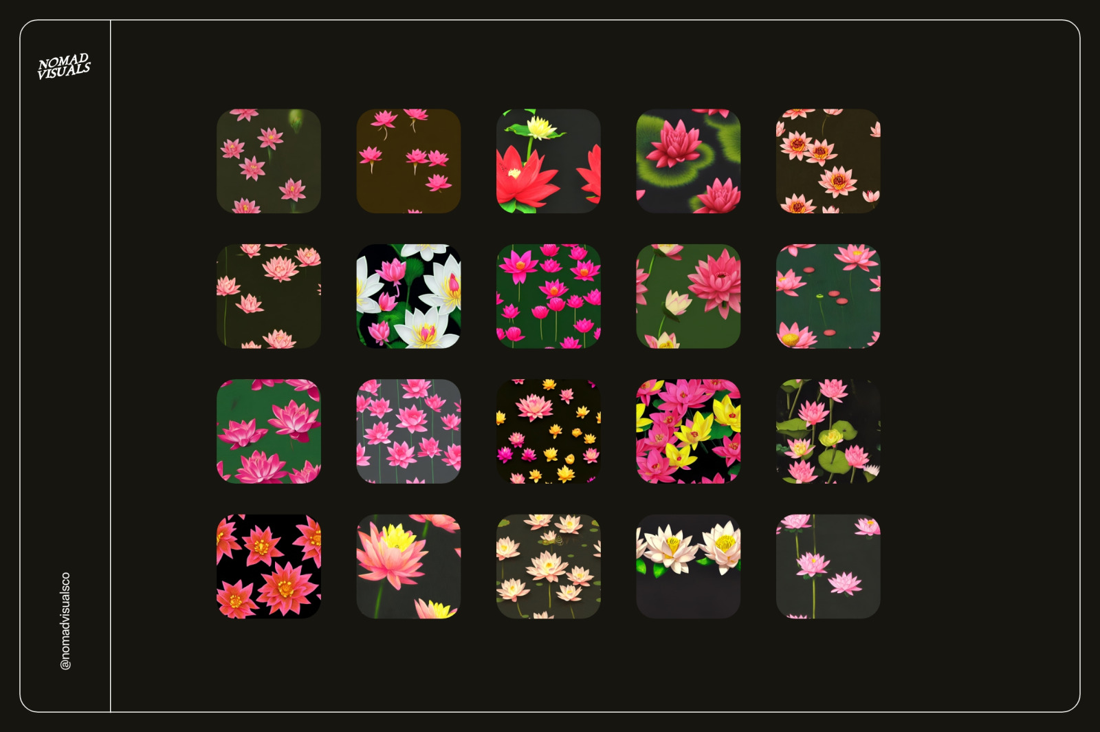 Lotus Flowers Lotus Flowers