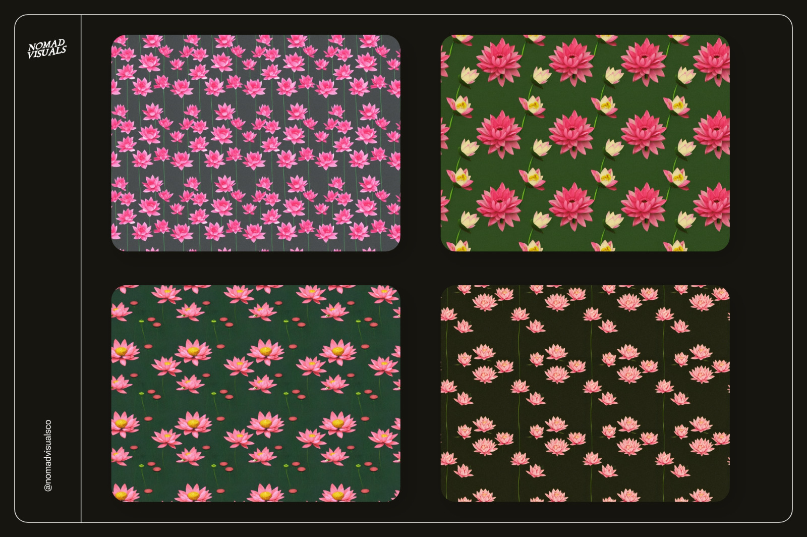Lotus Flowers Lotus Flowers