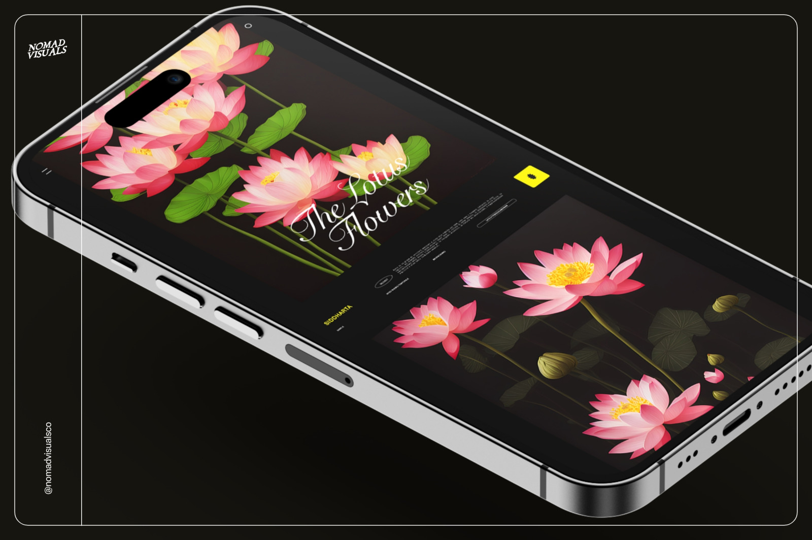 Lotus Flowers Lotus Flowers