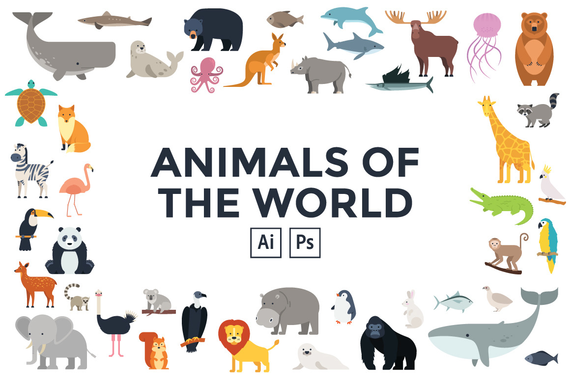 187 Animals Of The World