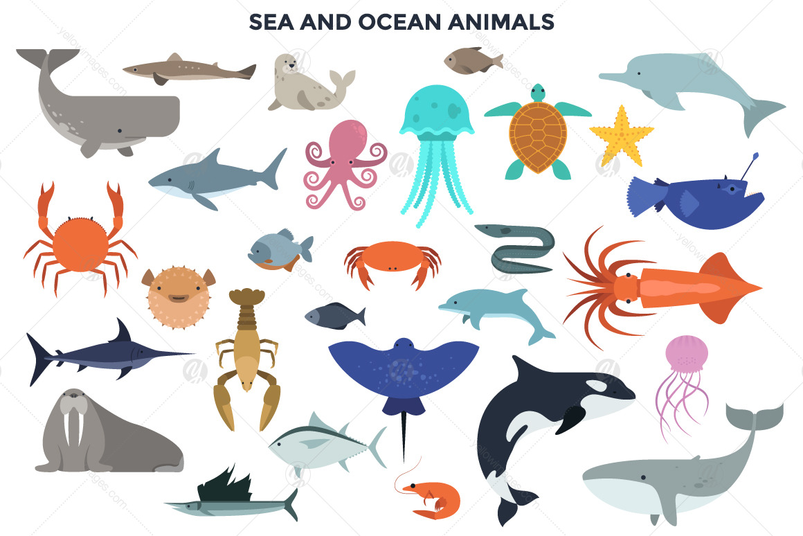 187 Animals Of The World