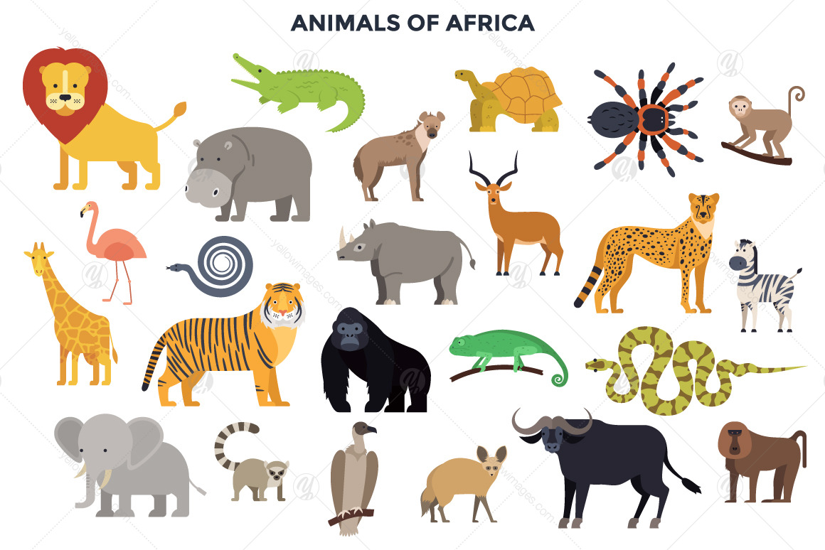 187 Animals Of The World