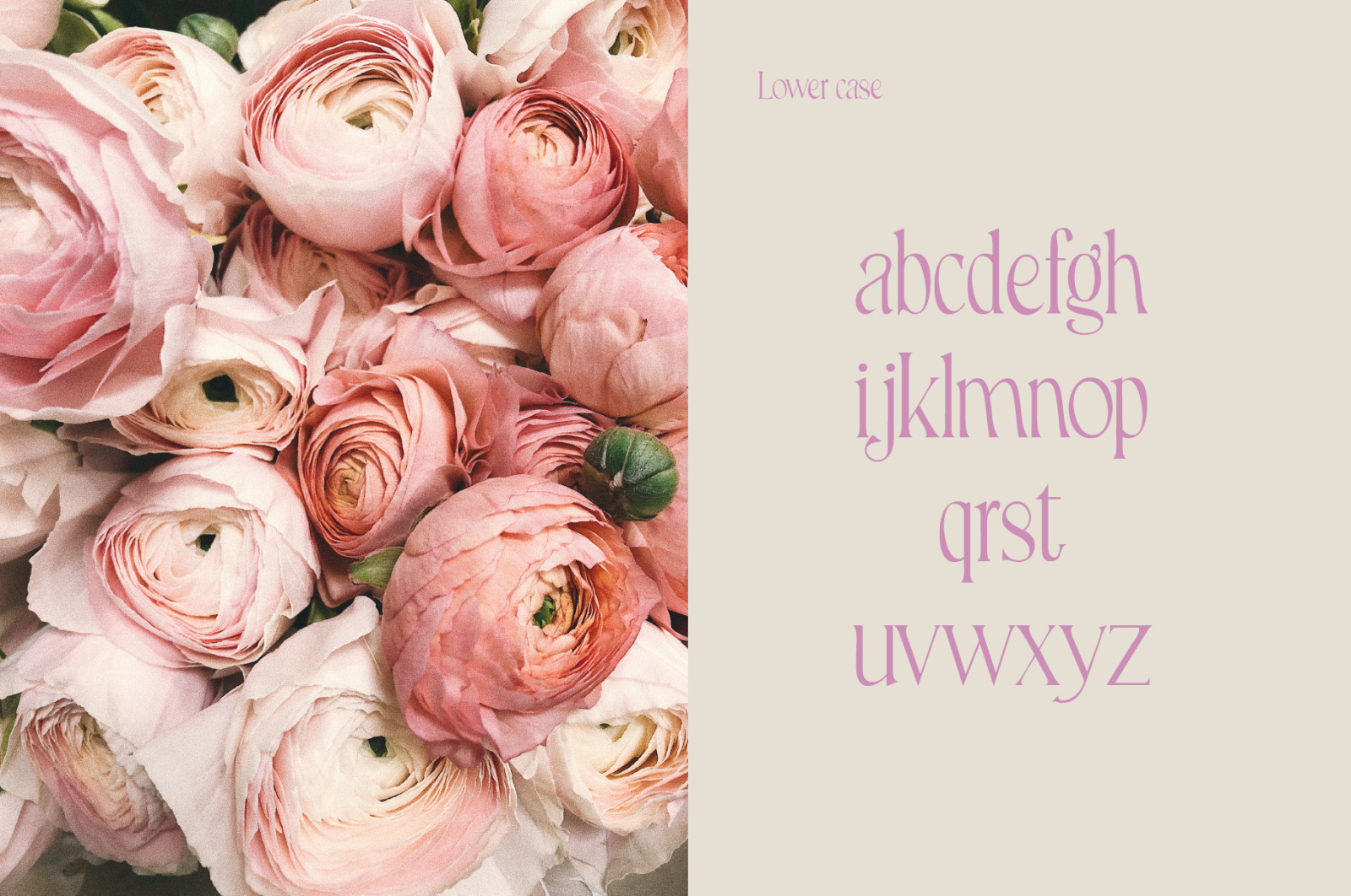 Wakisu - Elegant Sans-Serif Wakisu - Elegant Sans-Serif