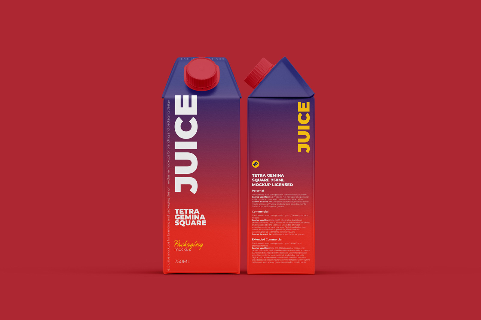 Tetra Gemina Square 750ml Juice mockup - Front and Side View