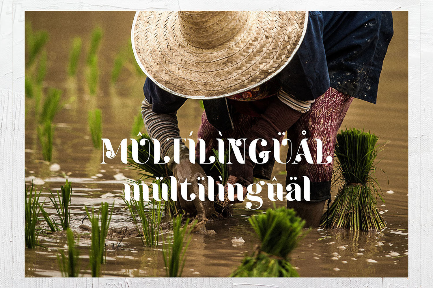 ARKA - Heritage Typeface ARKA - Heritage Typeface