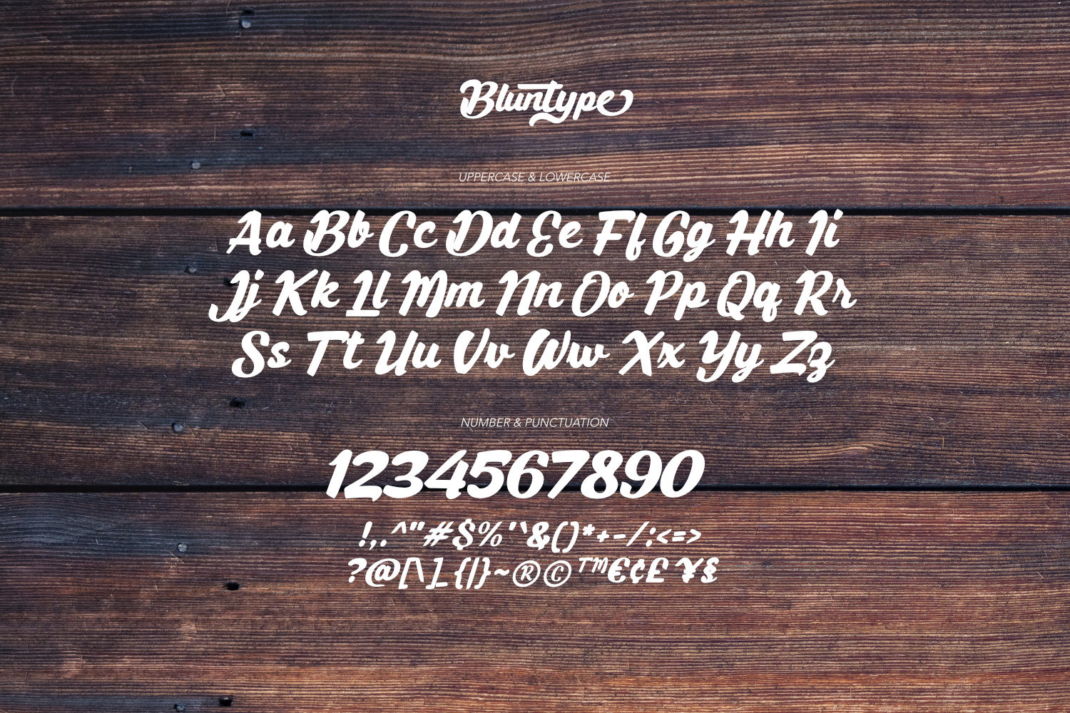 Bluntype Typeface