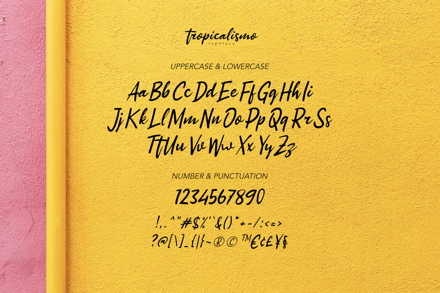 Tropicalismo Typeface Tropicalismo Typeface