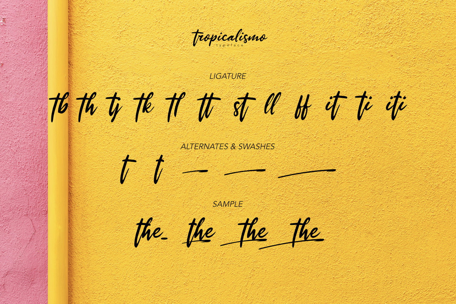 Tropicalismo Typeface Tropicalismo Typeface