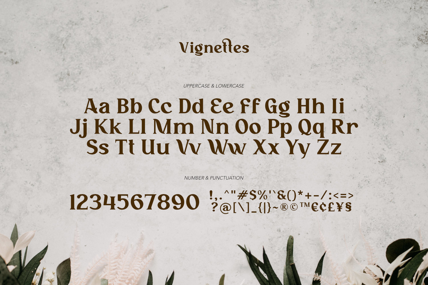 Vignettes - Feminine Type