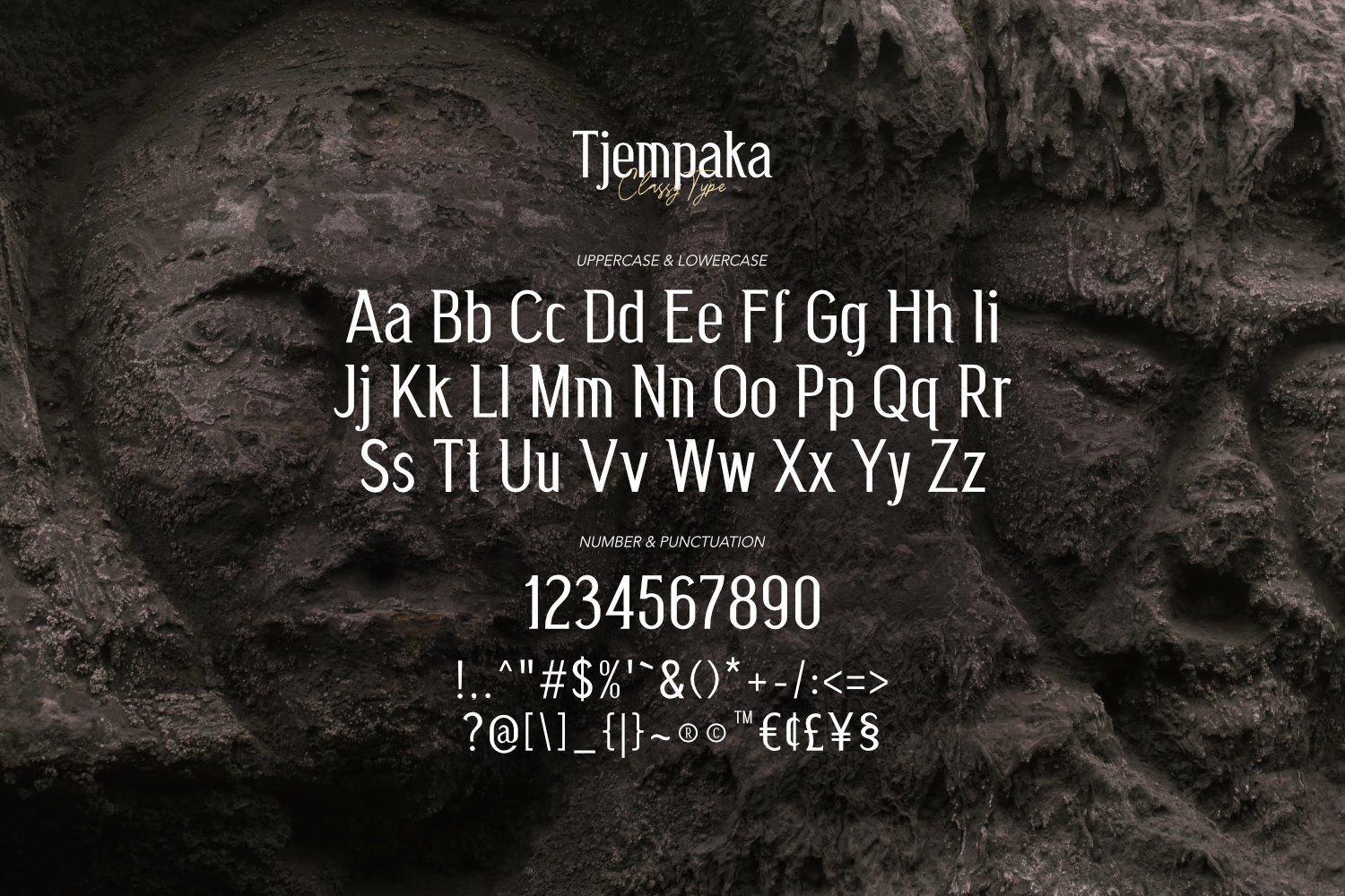 Tjempaka - Classy Type Tjempaka - Classy Type