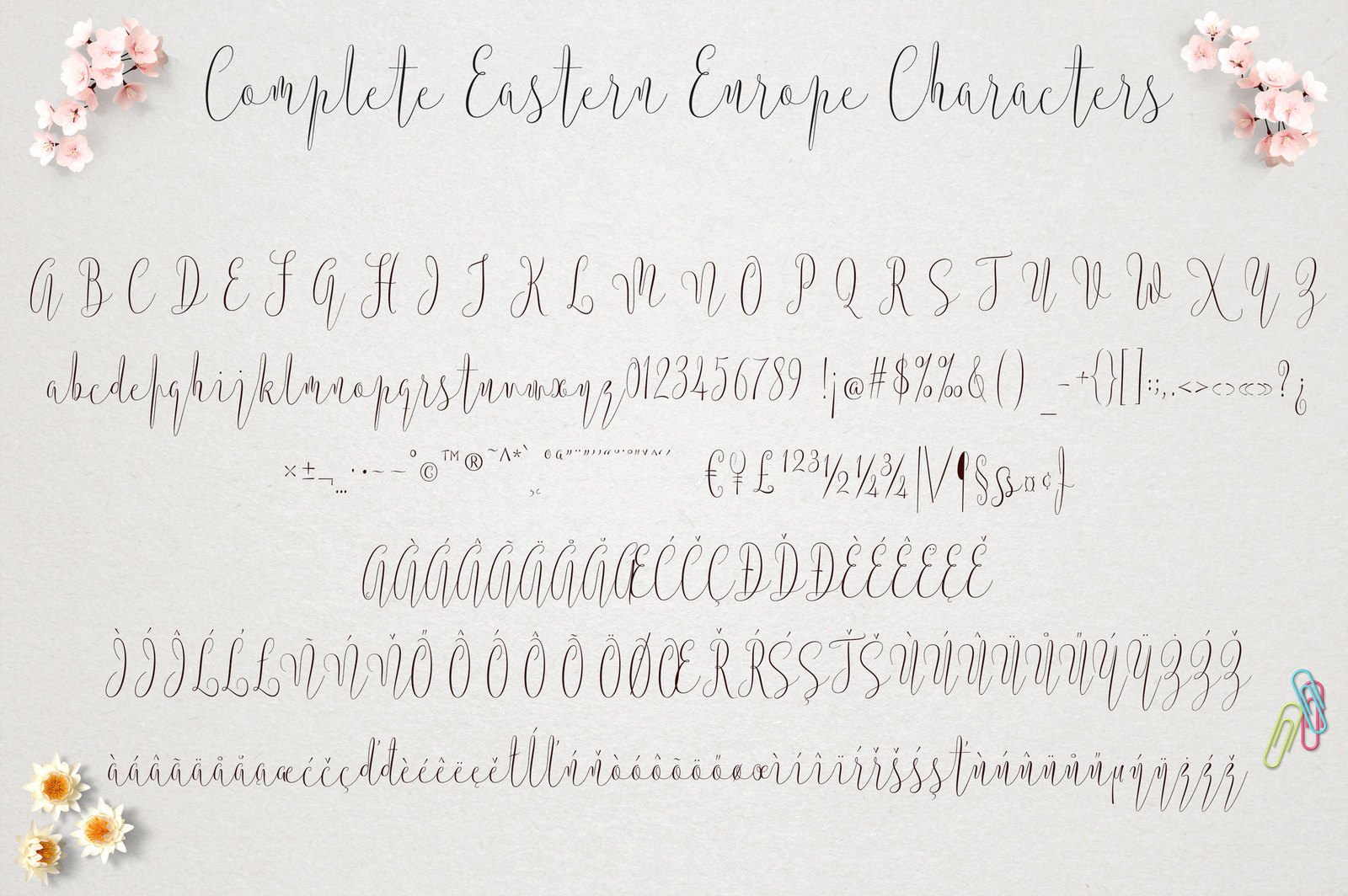 Argentina Script Argentina Script