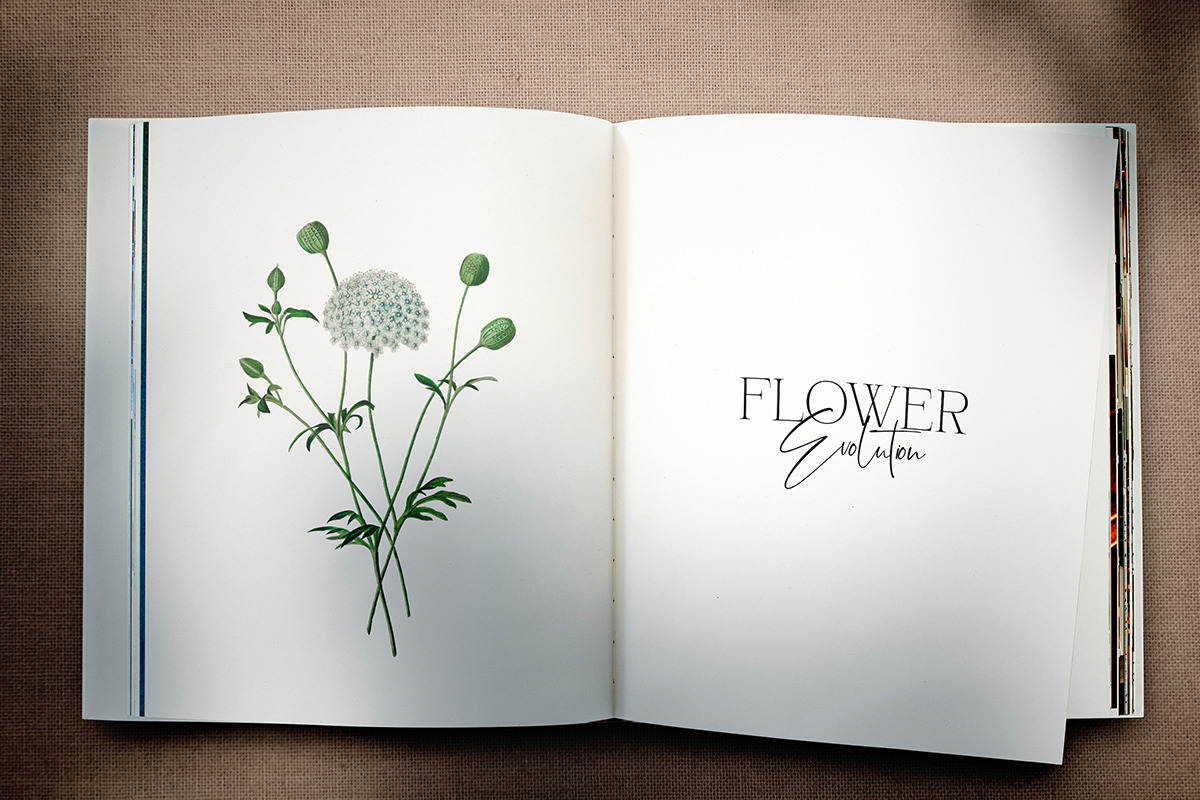 Bonelest | Stylish Ligature Bonelest | Stylish Ligature