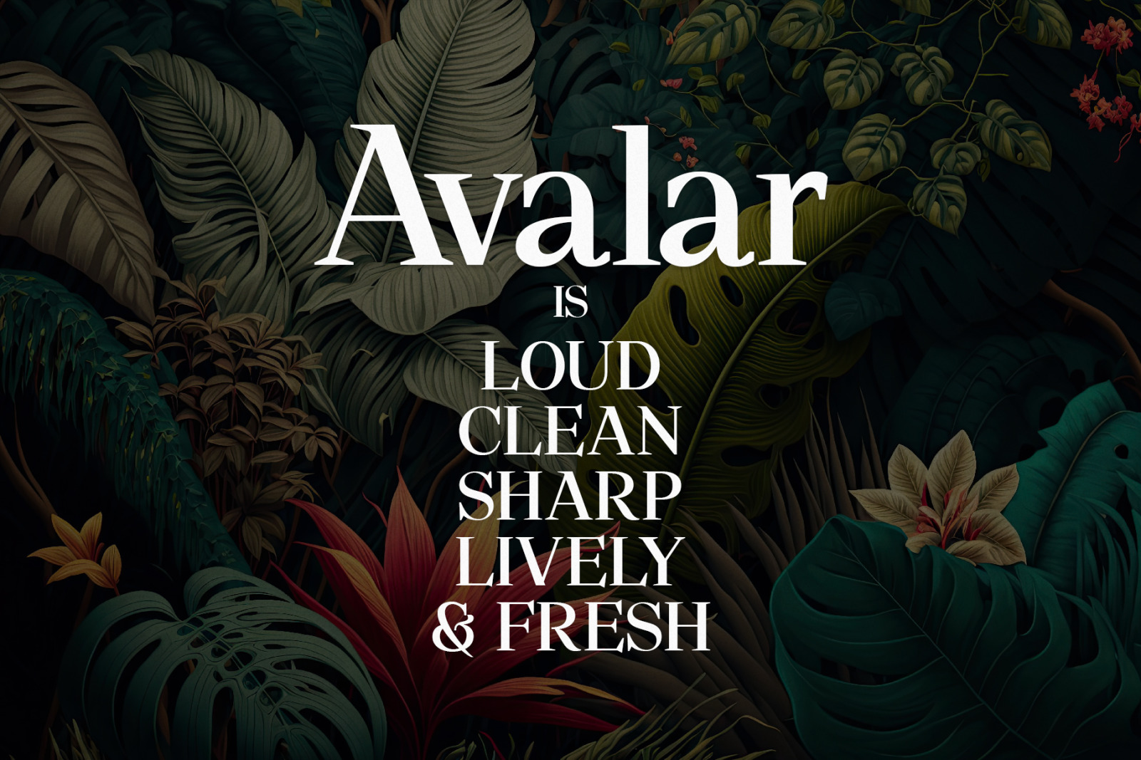 Avalar - Elegant Display