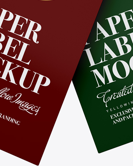 Two Paper Labels With Rope Mockup