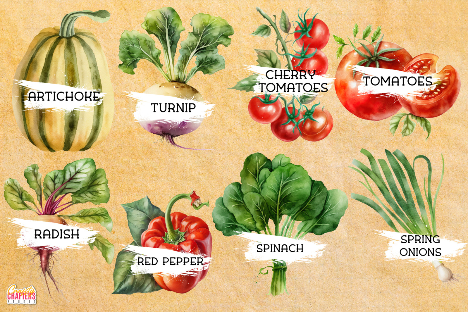 55 Vegetables Watercolor Clipart PNG | High-Quality Digital Illustrations