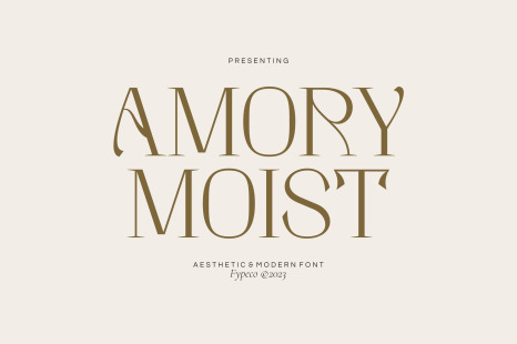 Amory Moist - Aesthetic Modern Font - Classy serif