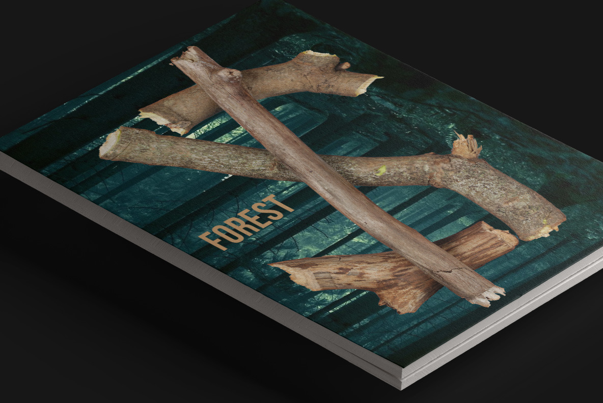 Dry Twigs Font Dry Twigs Font