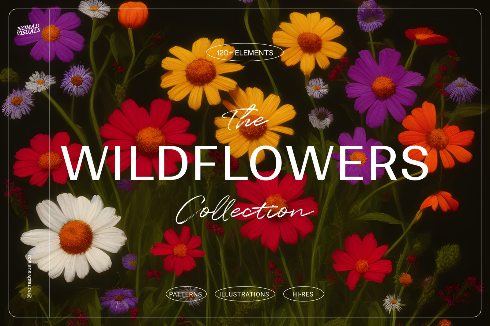 Wildflowers Wildflowers