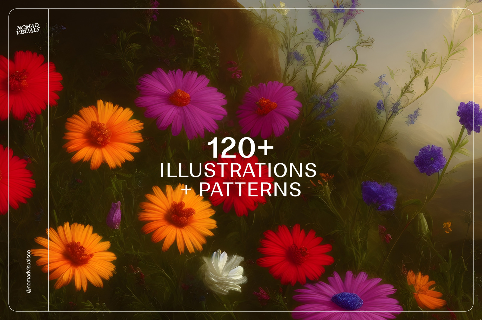 Wildflowers Wildflowers