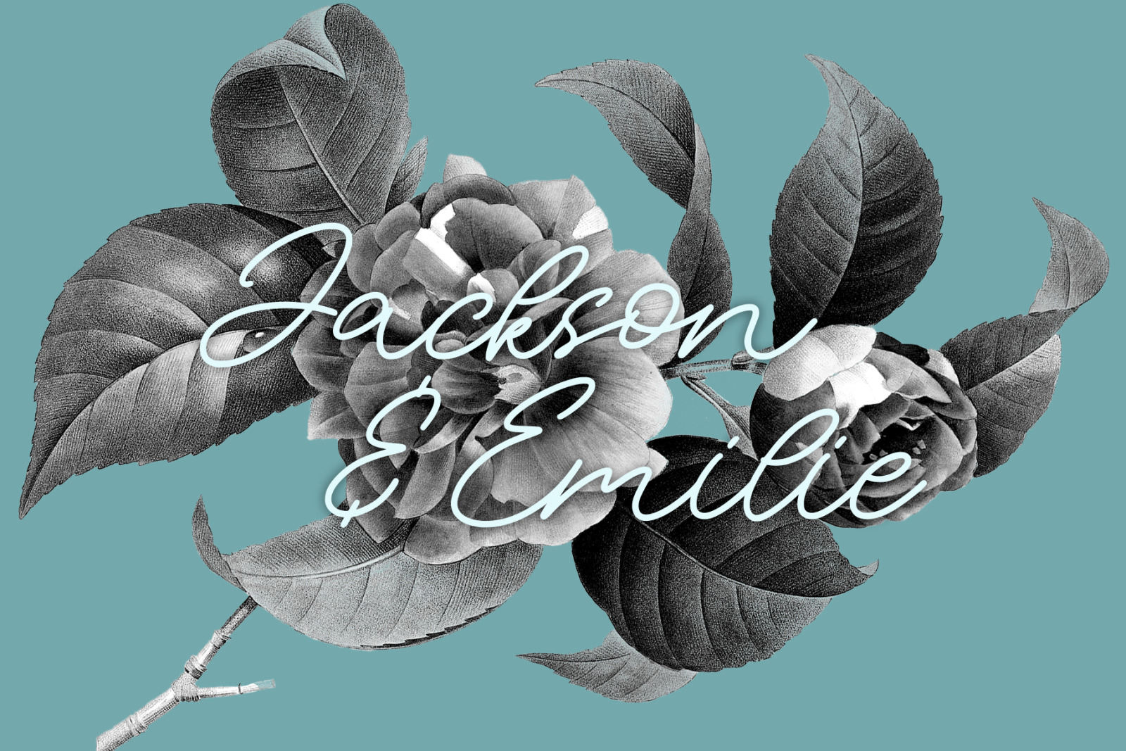 NCL SIOST QUICKER - Unique Monoline Wedding Romantic Feminime Display Font