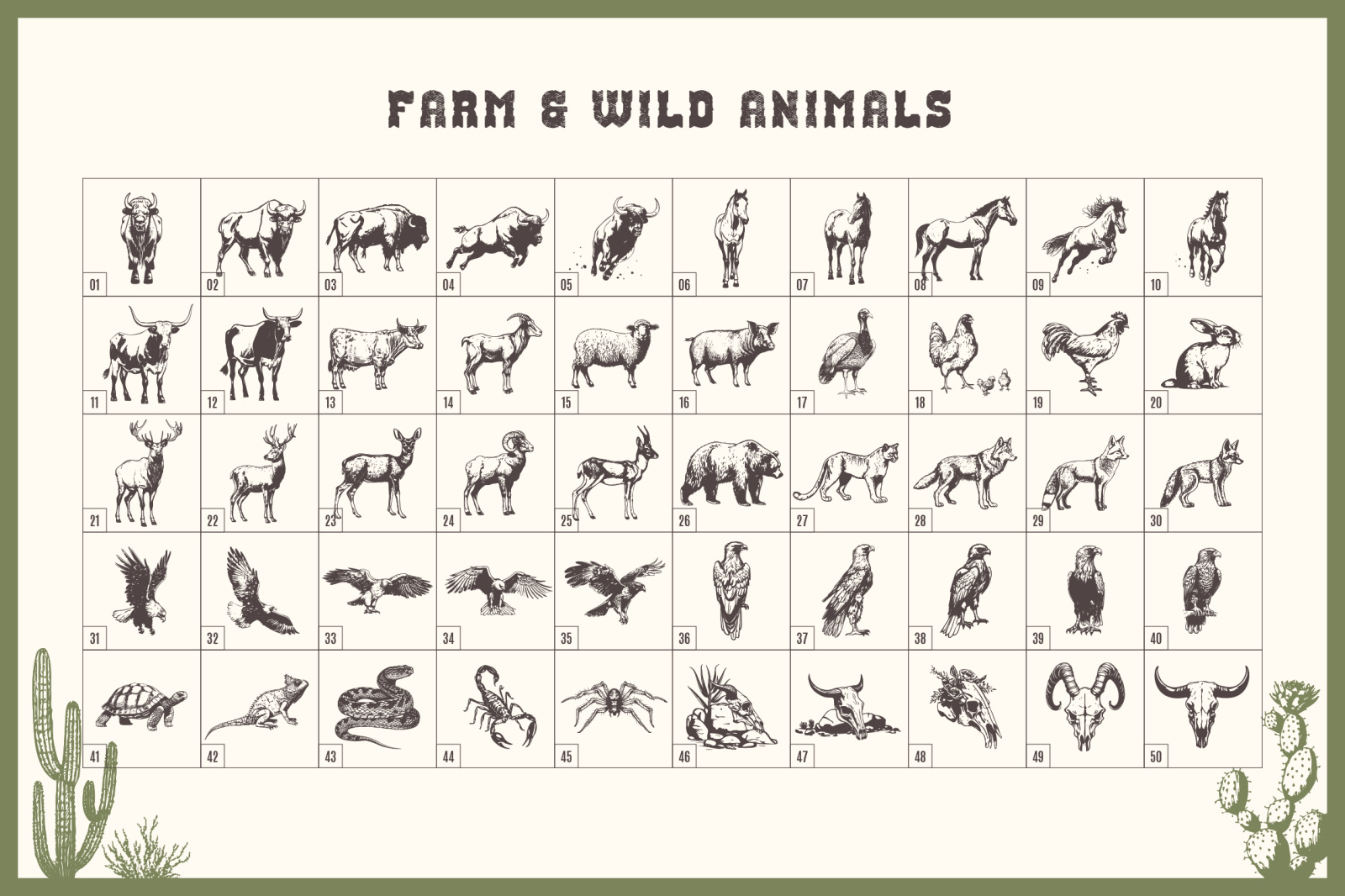 Wild, Wild West. 250 Hand Drawn Illustrations