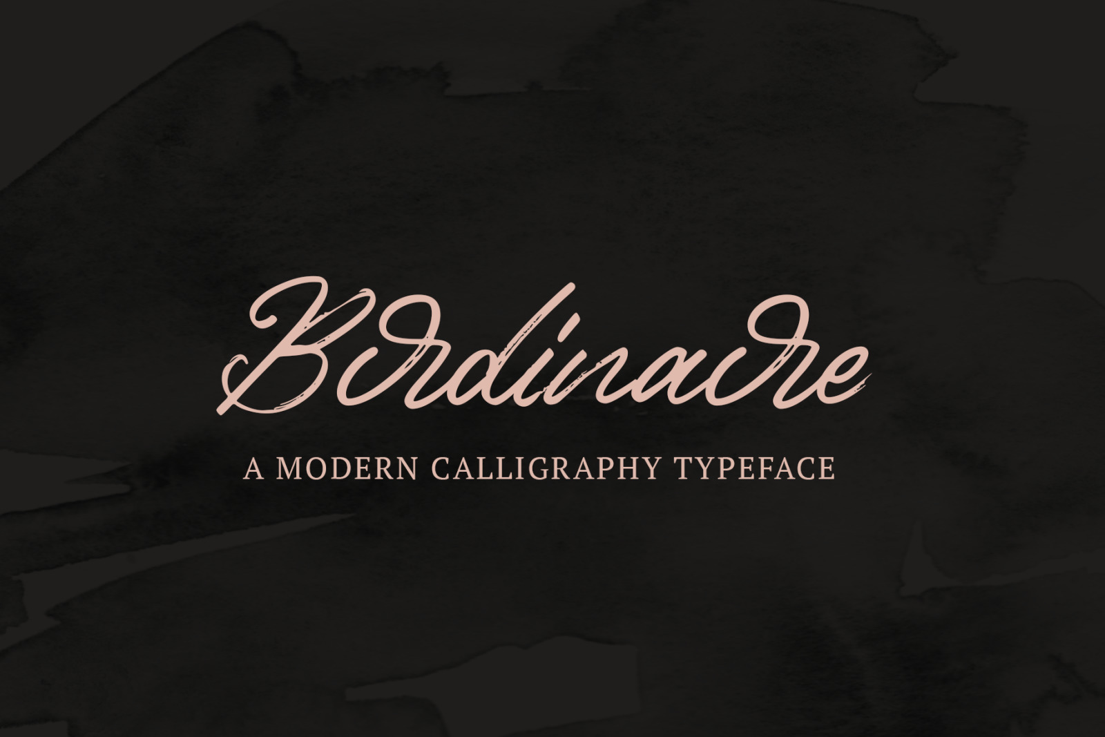 Birdinaire | A Modern Calligraphy Font