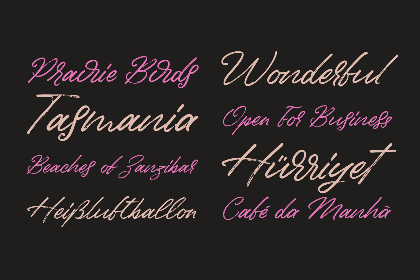 Birdinaire | A Modern Calligraphy Font