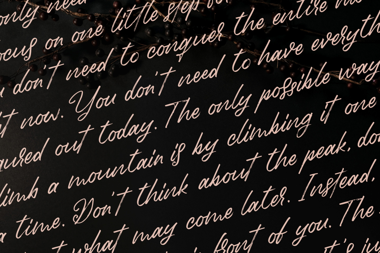 Birdinaire | A Modern Calligraphy Font Birdinaire | A Modern Calligraphy Font