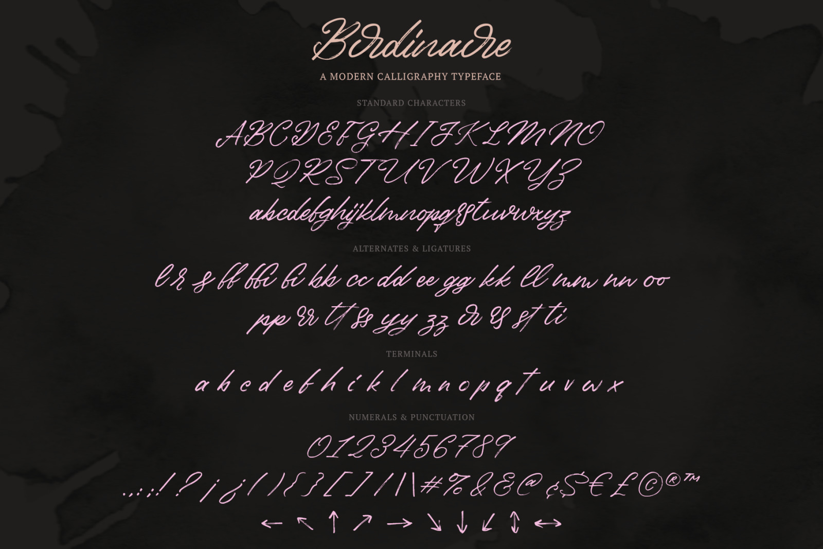 Birdinaire | A Modern Calligraphy Font