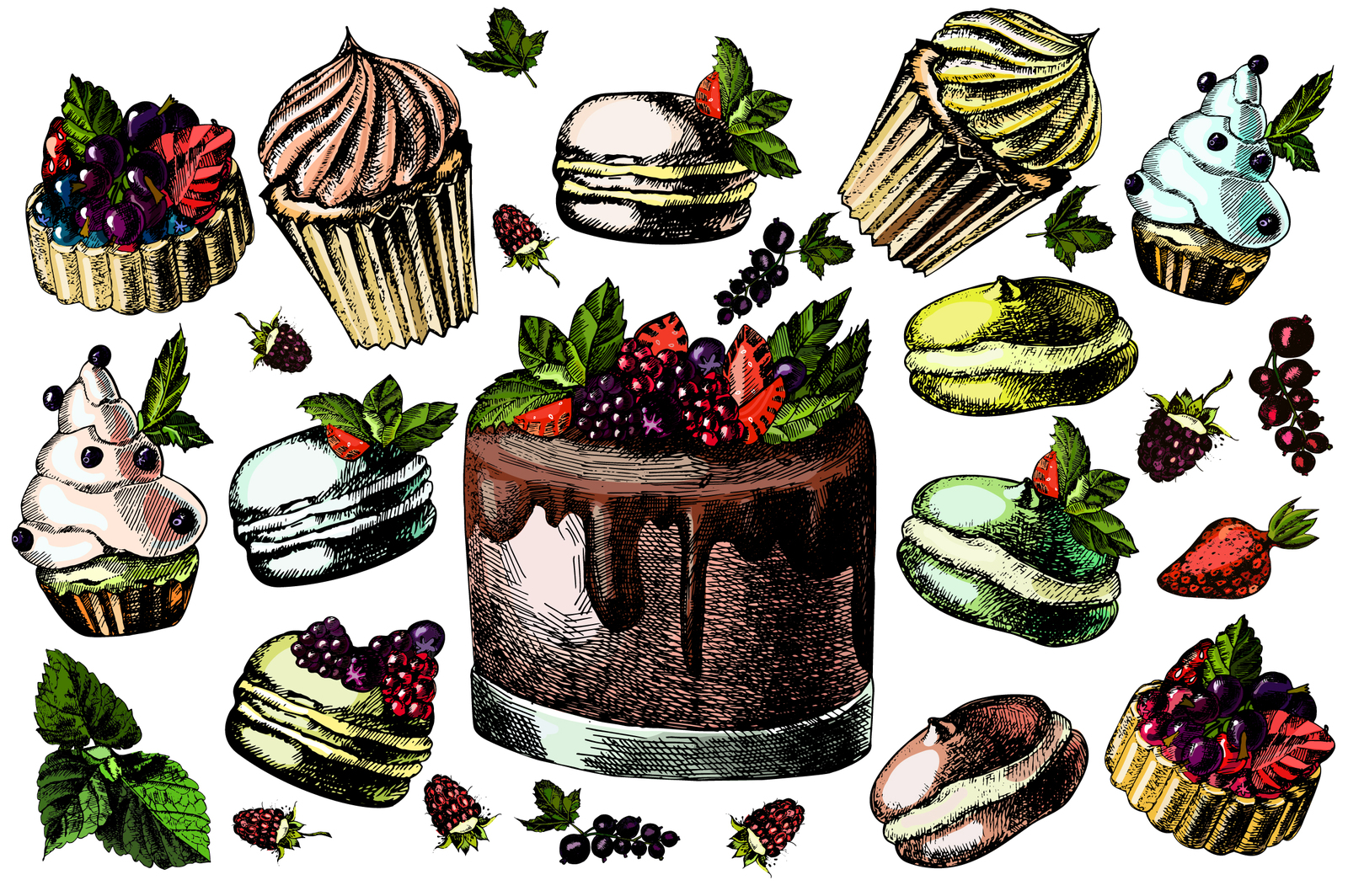 Hand drawing Cake and Berries