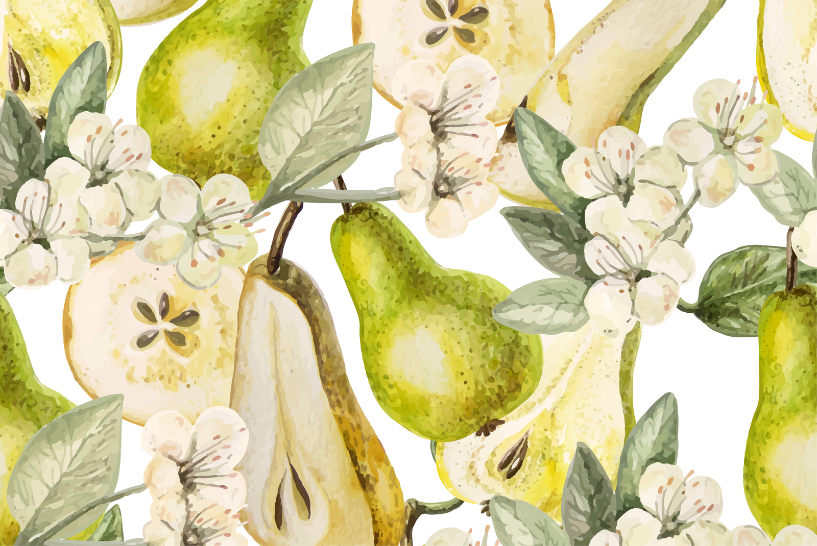 Beautiful watercolor pears