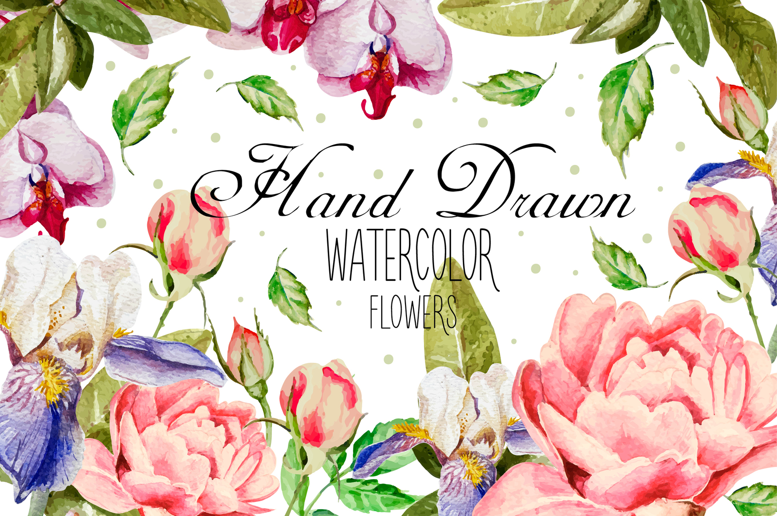 Beautiful watercolor flowers