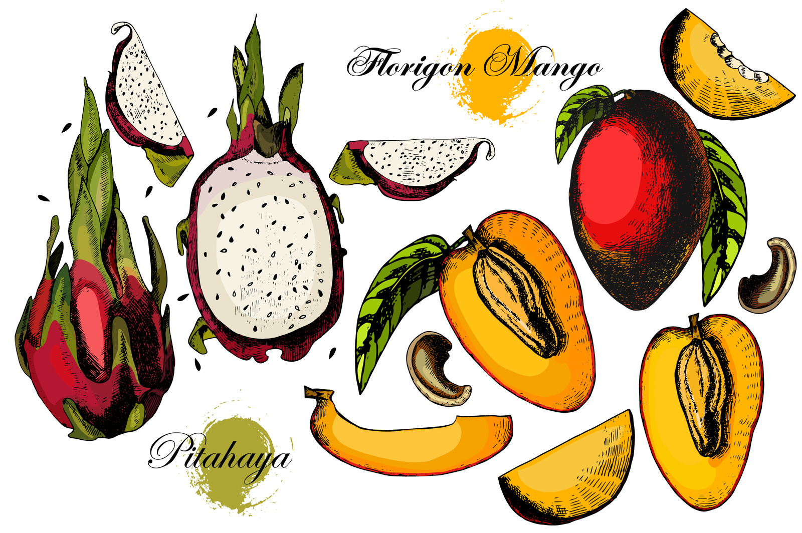 Hand drawing Citrus fruits