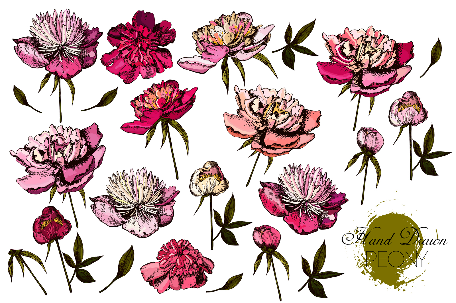 Hand drawing Roses and Peonies Hand drawing Roses and Peonies