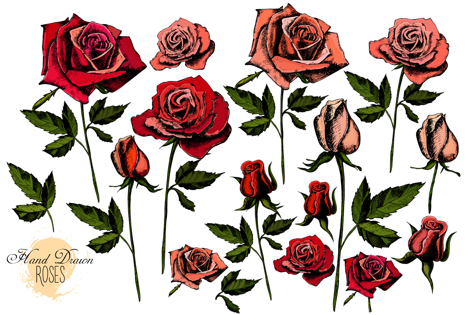 Hand drawing Roses and Peonies Hand drawing Roses and Peonies