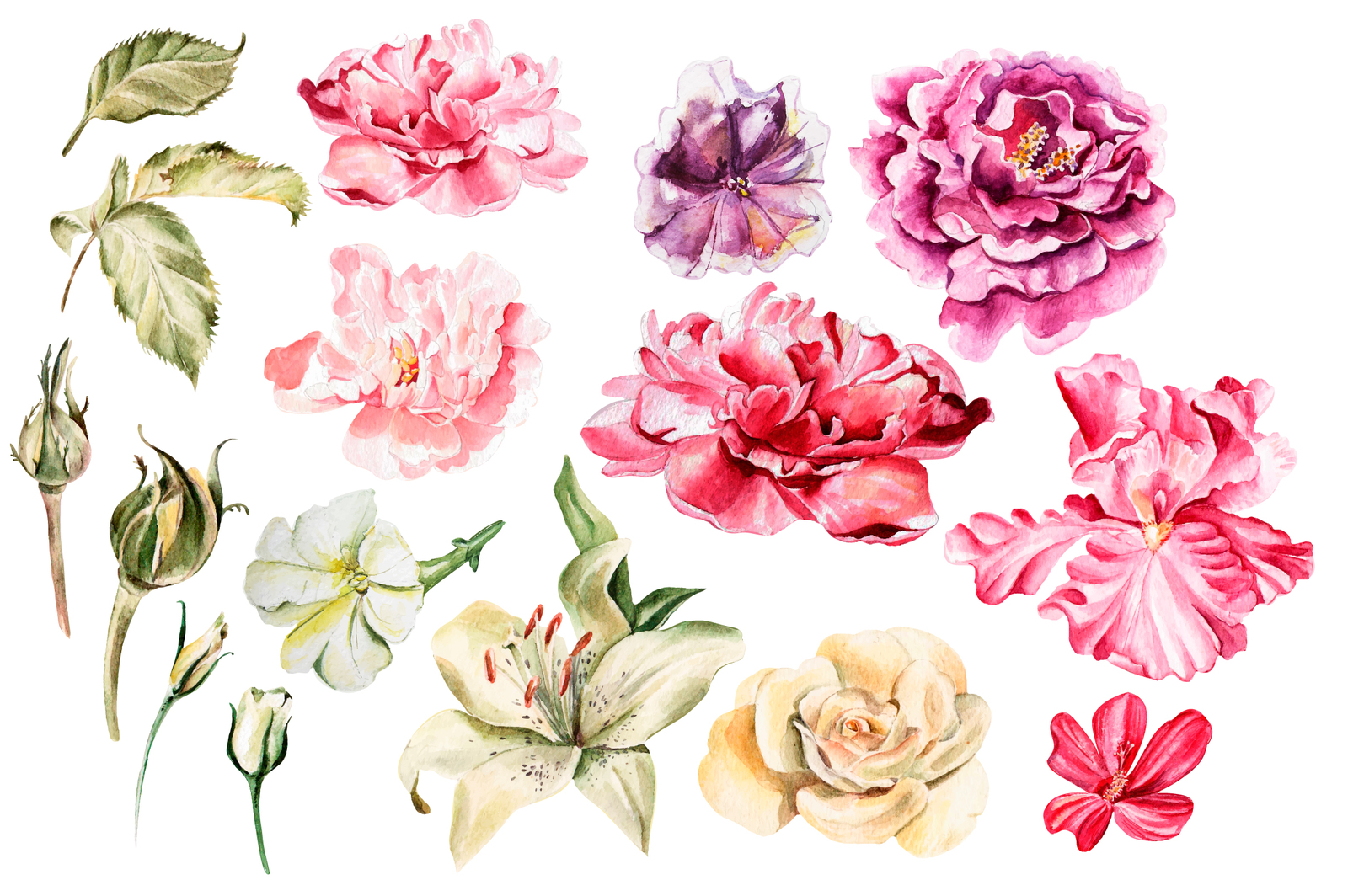 Beautiful watercolor flowers Beautiful watercolor flowers