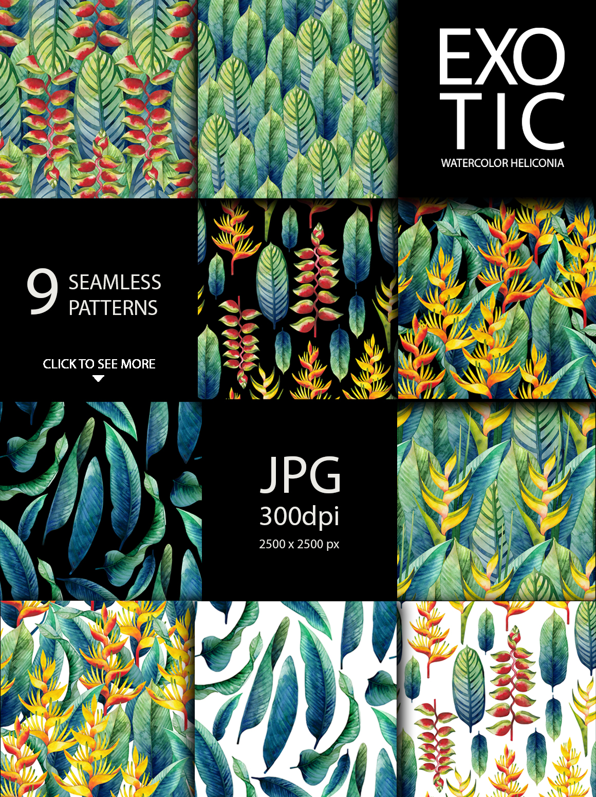 Watercolor heliconia collection