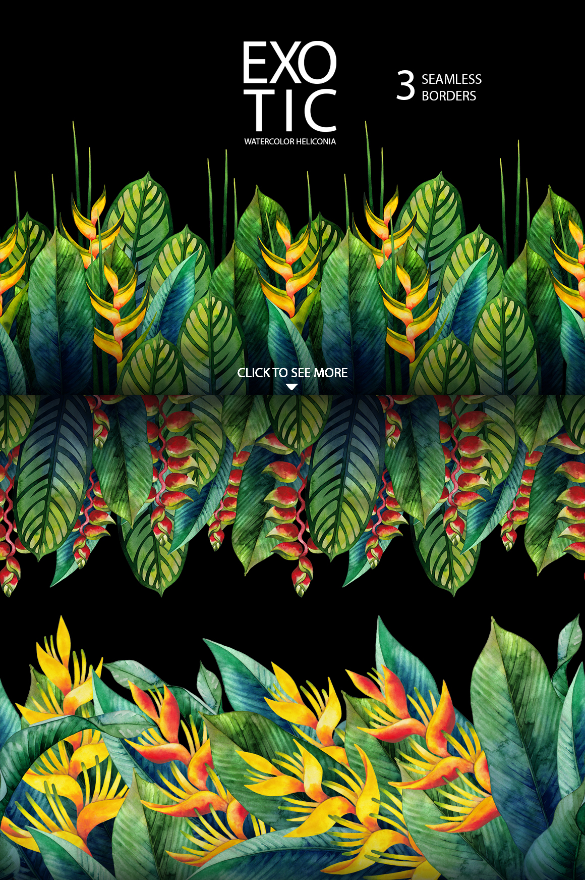 Watercolor heliconia collection Watercolor heliconia collection