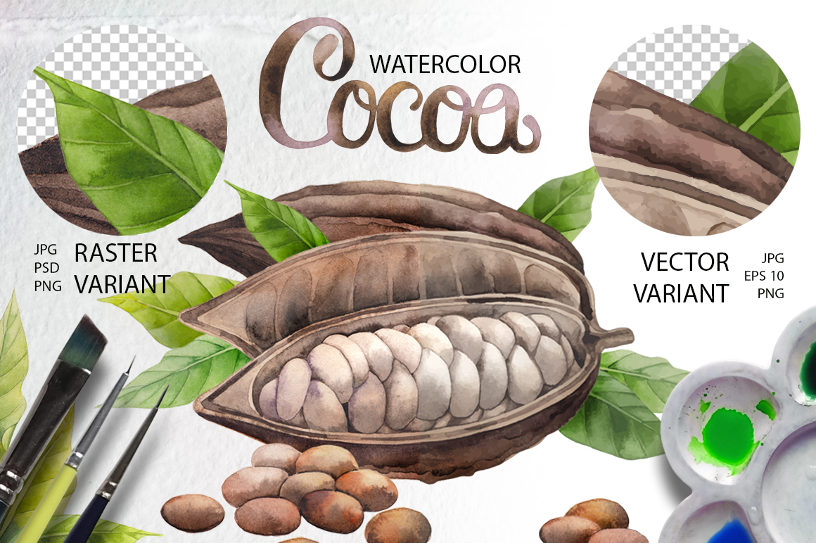 Watercolor and graphic Cocoa plants