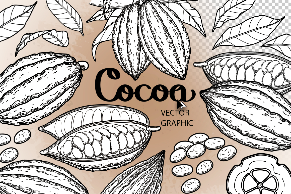 Watercolor and graphic Cocoa plants