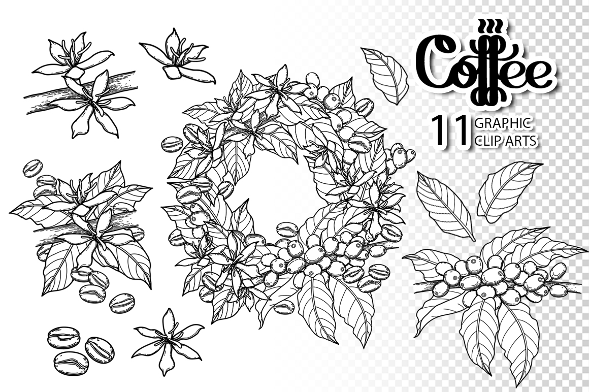 Watercolor and graphic coffee plants Watercolor and graphic coffee plants