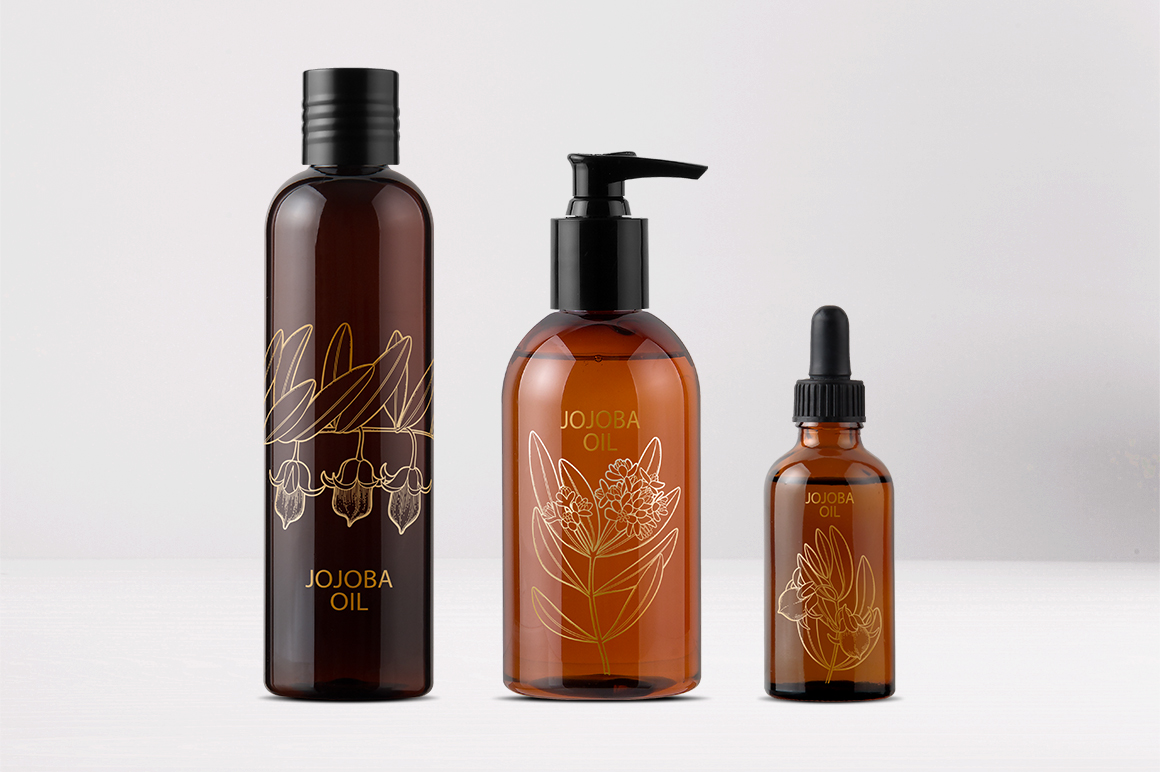 Graphic and watercolor jojoba plants Graphic and watercolor jojoba plants