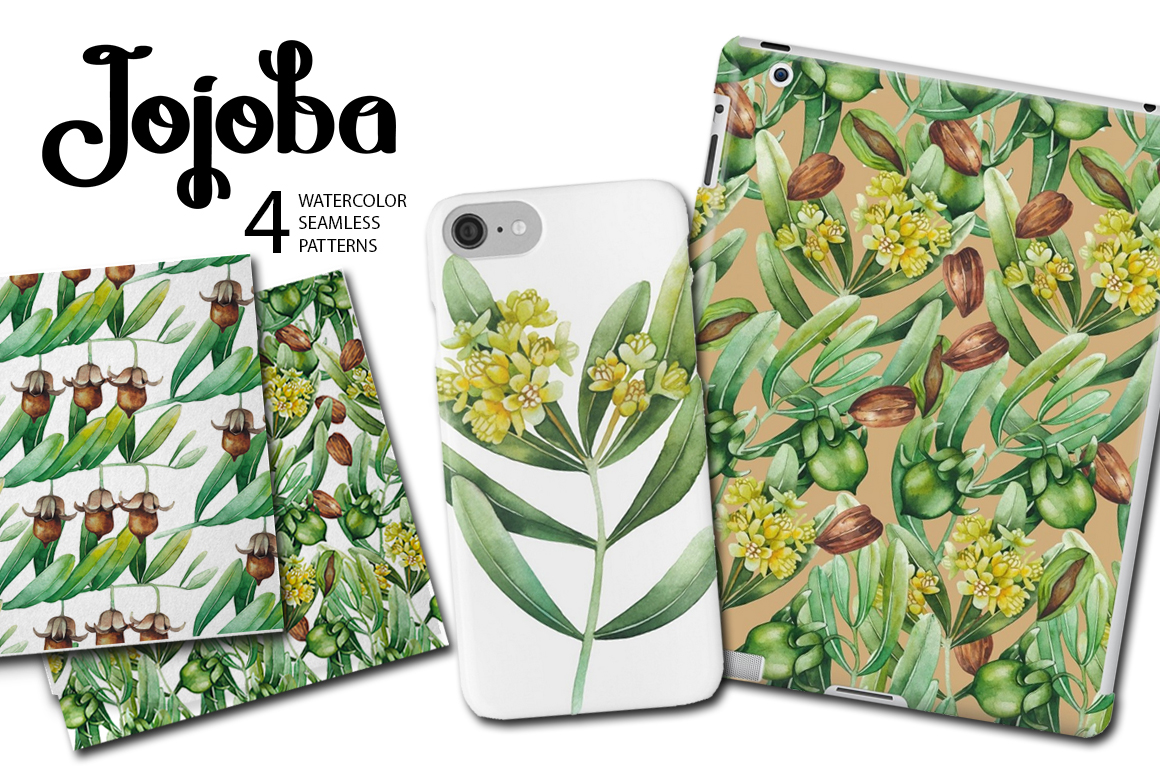 Graphic and watercolor jojoba plants