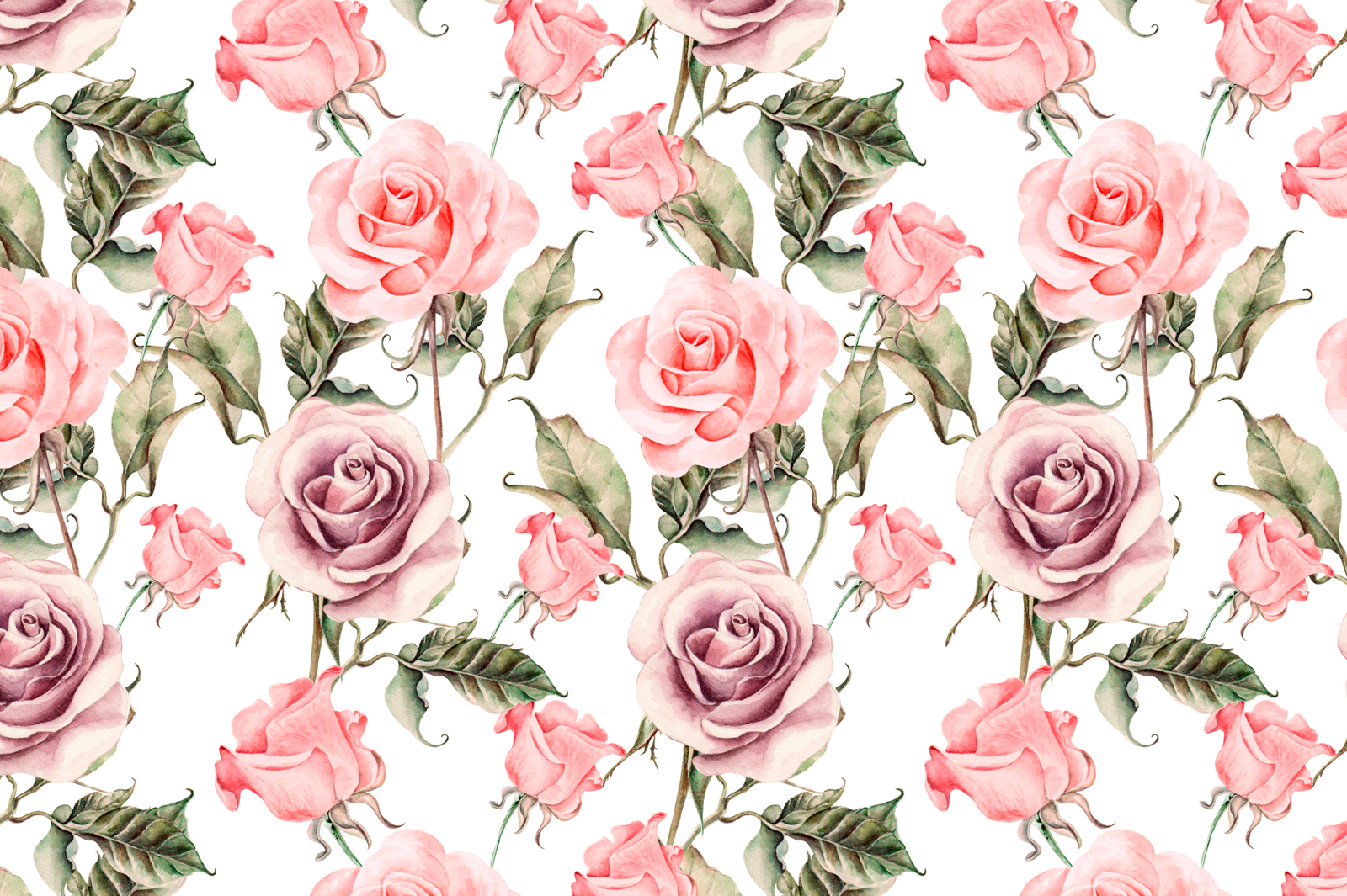 Hand drawn watercolor roses Hand drawn watercolor roses